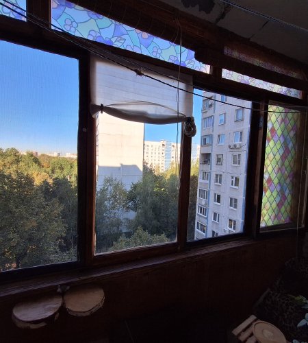 1к кв. Королёв, пр-т Космонавтов