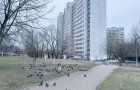 Объект №88301712