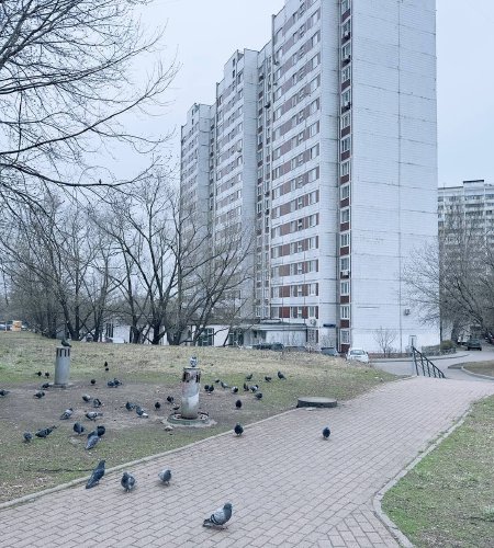 Объект №88301712