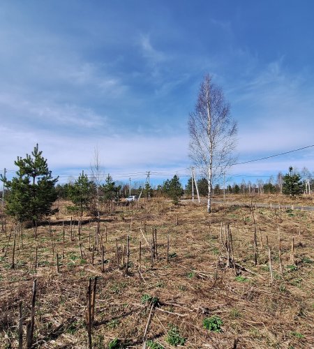 Земельный участок 6 соток