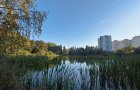Объект №116409404