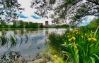 Продается дом с участком