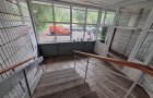 Объект №113562818